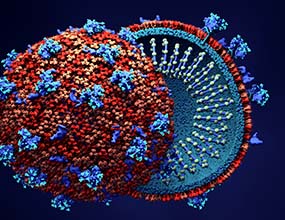 Plásticos técnicos con propiedades antimicrobianas, antivíricas y antibactericidas